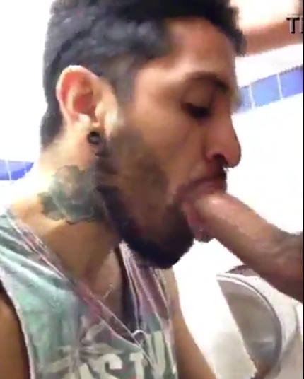 Mamada gostosa no banheiro público | DITADURA G » Sexo Gay Amador | Vídeos Gays | Xvideos Gay | XXX
